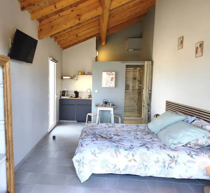 Studio with garden & terrace | Garden view - Image 1