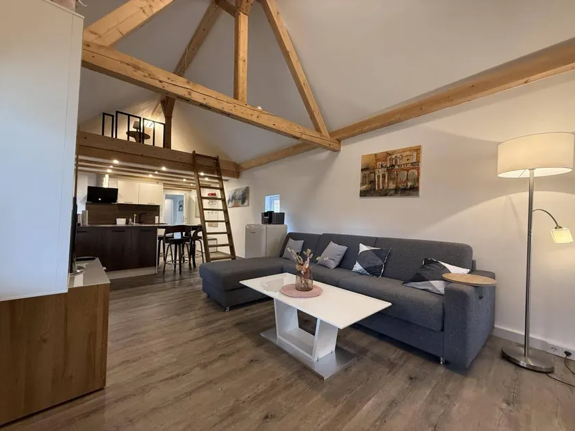 Fully equipped charming apartment with garden - Image 1
