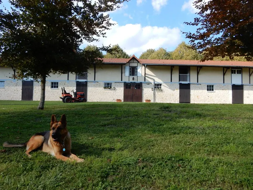 Child-friendly ample cottage with garden, terrace & BBQ | Garden view | Dogs allowed - Image 1