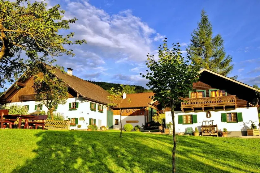 House with garden, barbecue & terrace - Image 1
