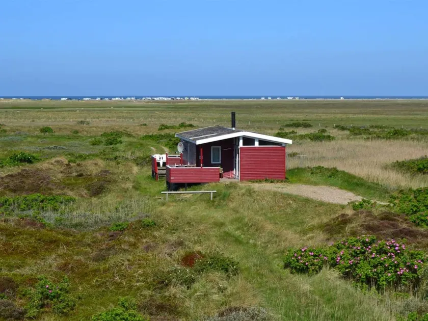 Child-friendly house with sauna & terrace | Sea view | Pets are welcome - Image 1