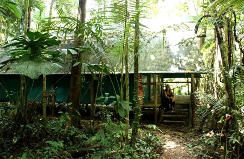 Family-Friendly Tented Cabin in the Rainforest, Austraila - Image 1