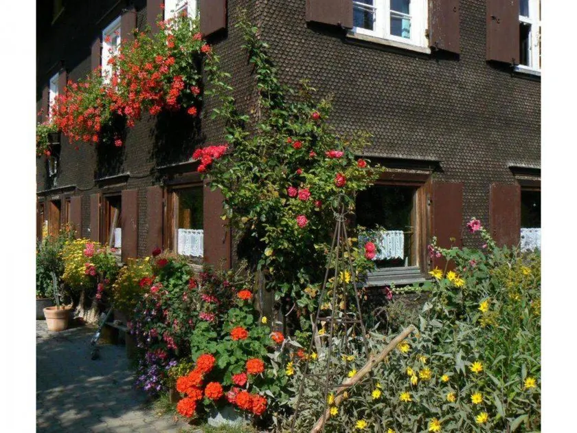 Holiday apartment with garden, sauna & barbeque | Mountain view - Image 1