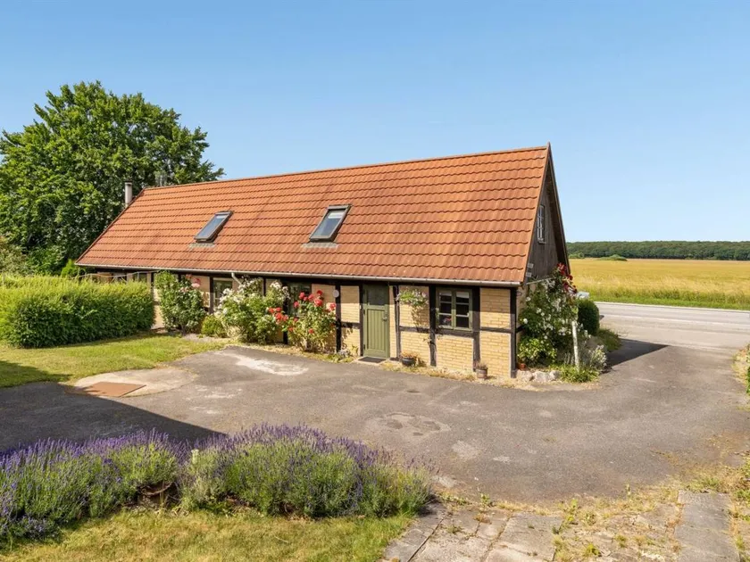 Child-friendly holiday home with terrace | Pet-friendly - Image 1
