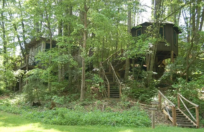 Tree Top Cabin in Crumpler, North Carolina - Image 1