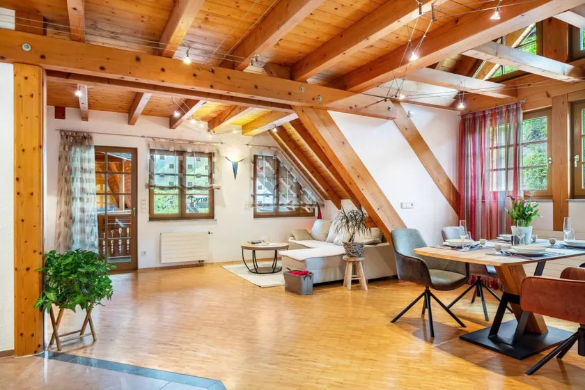 Apartment “Black Forest Home” with Great Comfort - Image 1