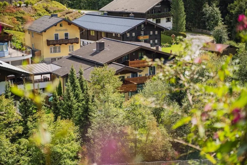 Tolle Ferienwohnung | Skifahren in der Nähe - Image 1