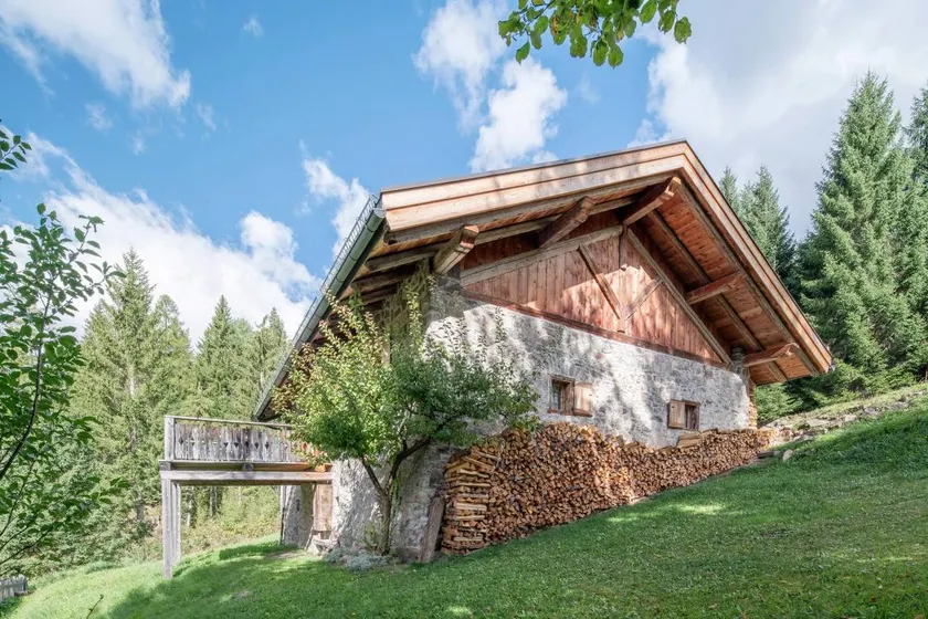 Family-oriented pleasant chalet with sauna, garden & terrace | Mountain view | Dogs allowed - Image 1