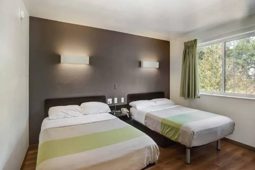 Lovely flat | Pets are welcome - Image 1