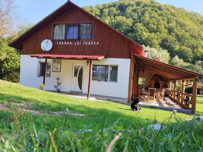 Chalet with BBQ, terrace & private pool | Nature view - Image 1