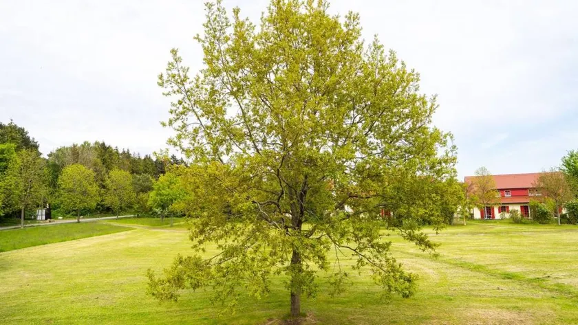 Appartamento con giardino, sauna e piscina - Image 1