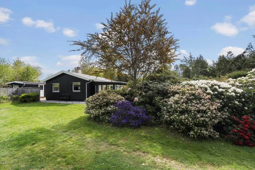 Ferienhaus mit Grill - Image 1