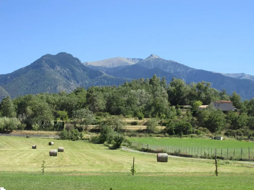 Ca la mimi - Image 1
