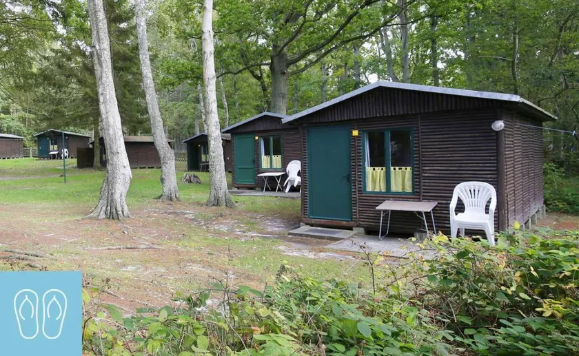 Familienorientierte Ferienwohnung mit Terrasse | Strand in der Nähe | Haustierfreundlich - Image 1
