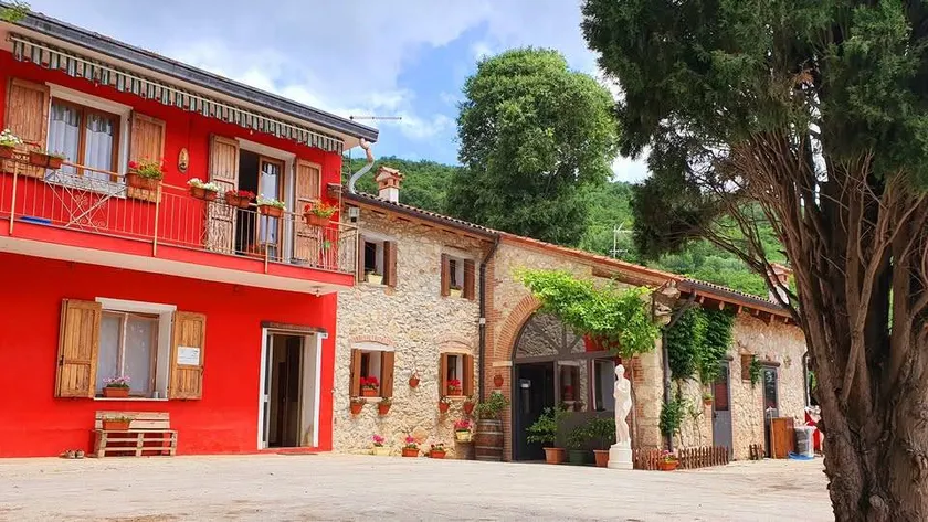 Al Vecio Magazin - Agriturismo familiare con panorama Colli Berici, cibo locale, passeggiate, uliveti, pet-friendly: Camera quadrupla - perfetta per famiglie - Image 1