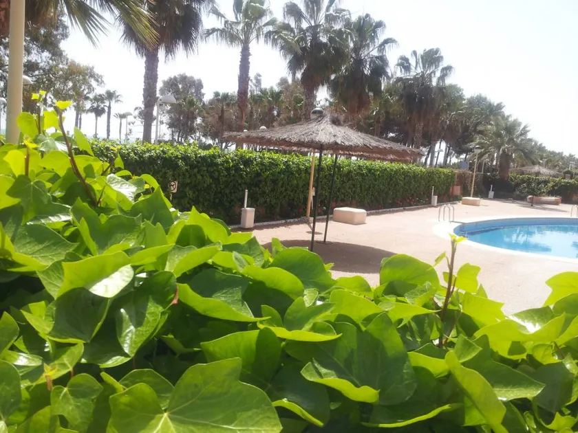 Tolles Apartment mit Terrasse und Pool | Nah am Strand | Haustierfreundlich - Image 1
