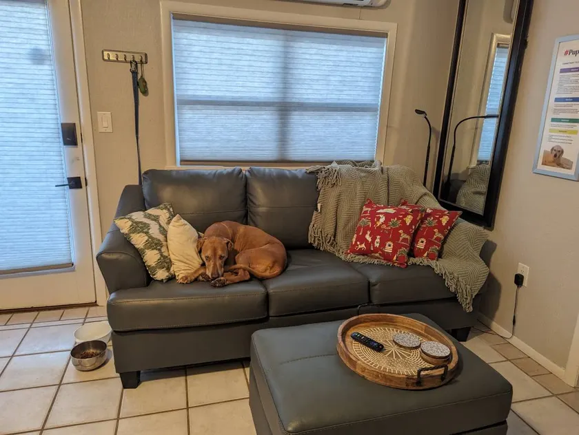 Adventure Doggie's Wildwoof Beach Bungalow - 3 Blocks To Beach - Image 1