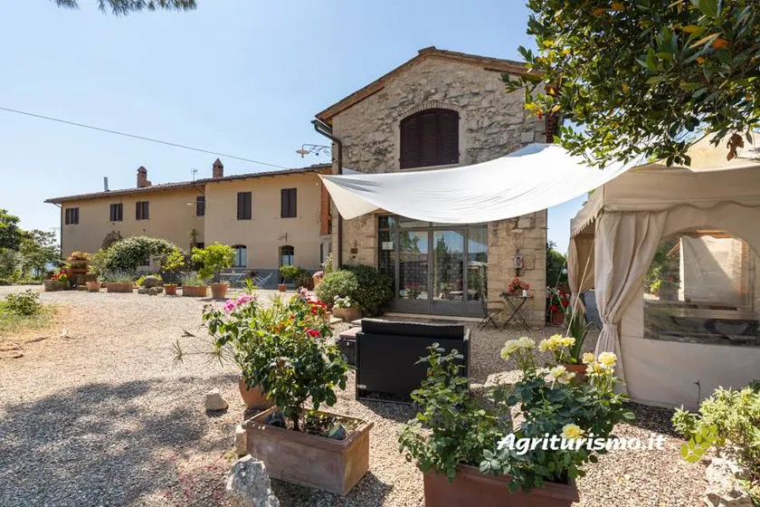 Agriturismo Sant'Ulivieri: Ginestra - Image 1