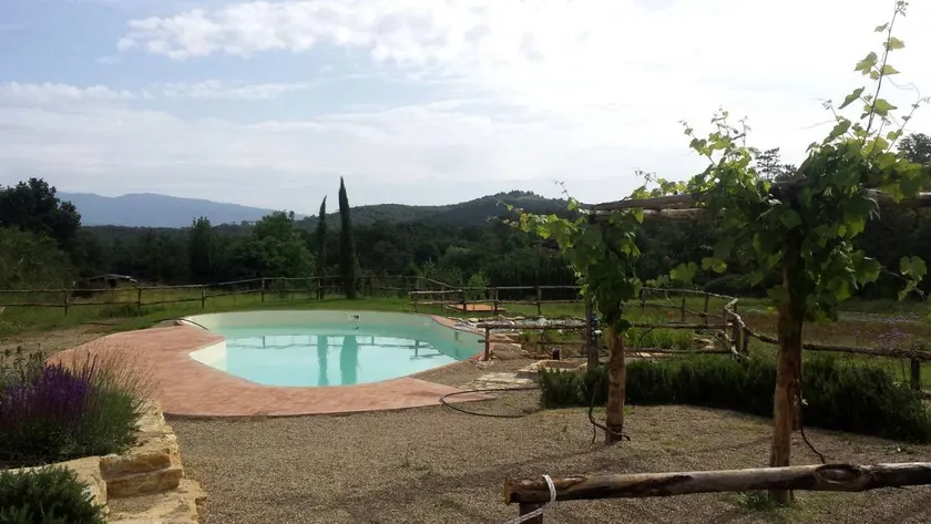Cozy Four-Person Cabins with Private Outdoor Area near Florence, Italy - Image 1