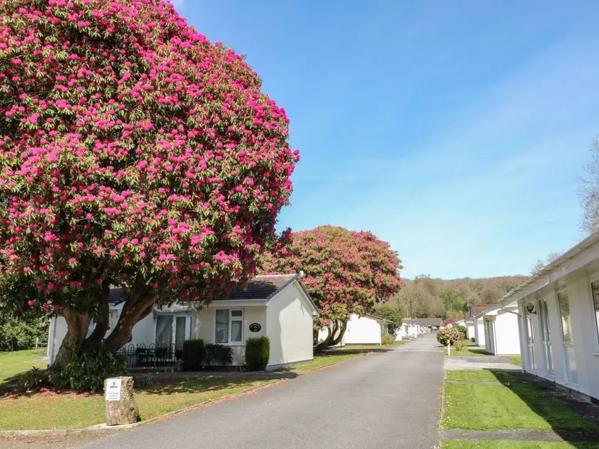 Family-oriented nice cottage with garden | Pets allowed - Image 1