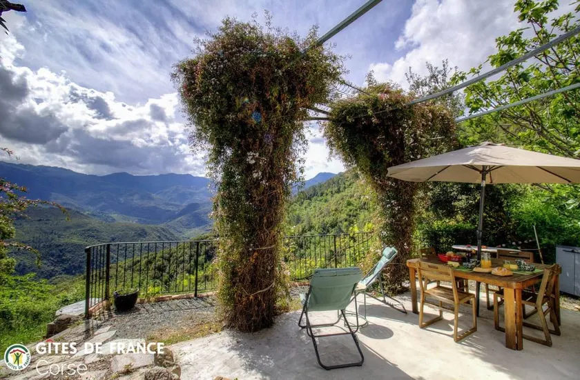 Beautiful gite with barbeque, garden & terrace | Mountain view - Image 1