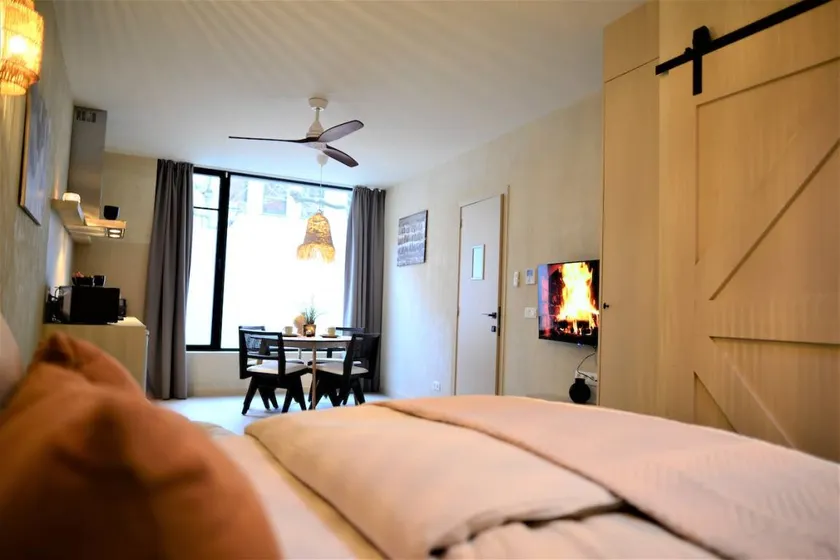 Beautiful holiday apartment | Near Plantin-Moretus Museum - Image 1