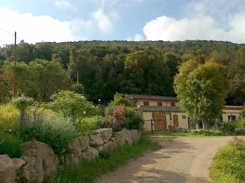 L' Amabile Geko - Image 1