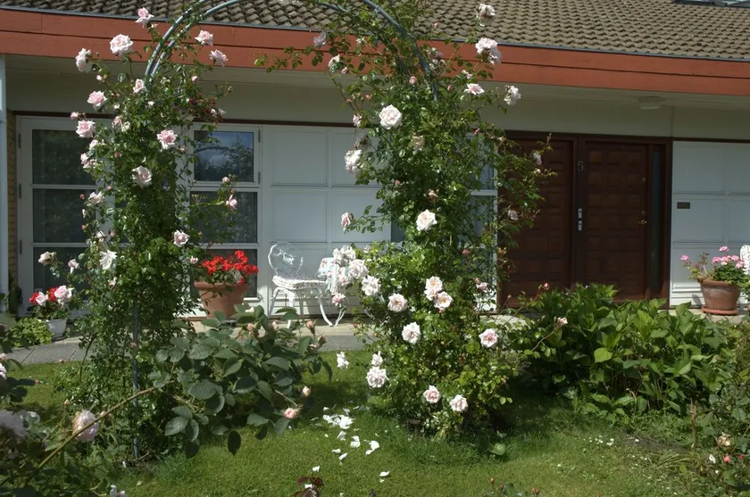 Rose House Hillerød Bed and Breakfast - Image 1
