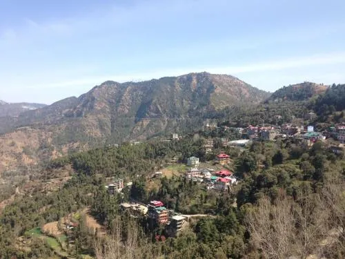Serene Homestay in Shoghi-Shimla - Image 1