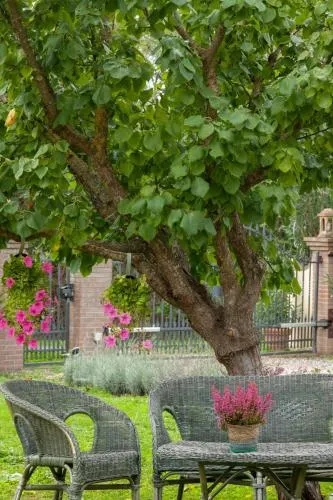 Appartamento In Casale Toscano - Image 1