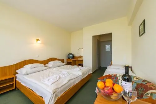 Nostra Hotel Siófok - Image 1