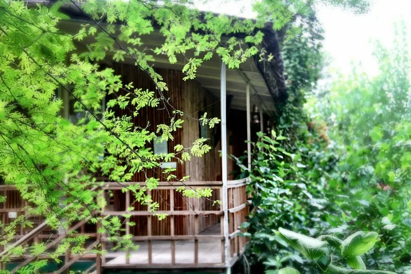 The Tree House Resort, Jaipur- A Club Mahindra Associate - Image 1