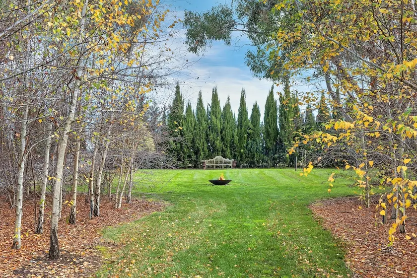 Orchards at Spring Vale Farm - Image 1
