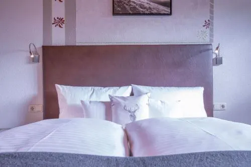 Patteriol Apart-Hotel-Garni - Image 1