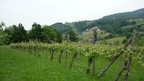 Gaestehaus Raab - Image 1