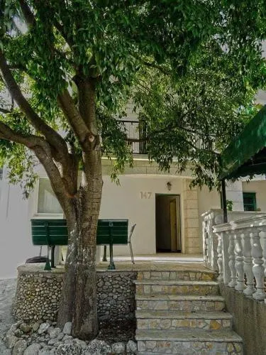 Kostanic - Image 1