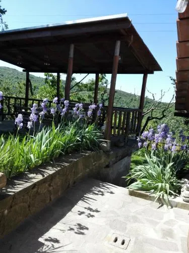 La Capannina - Image 1