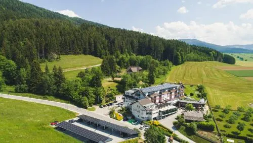 Styria Vital-Hotel - Image 1