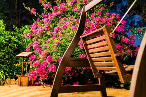 Natures Paradise - Image 1
