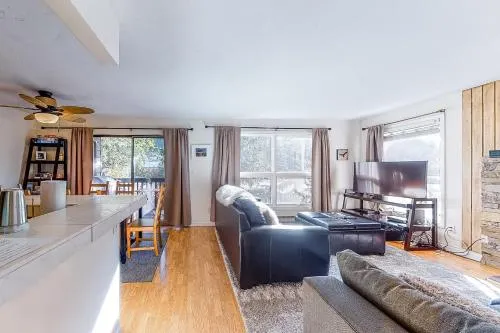Mountain Stream Condo - Image 1