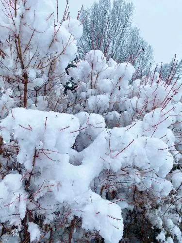 Une envie de montagne - Image 1