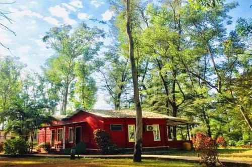 The Jungle Resort - Image 1