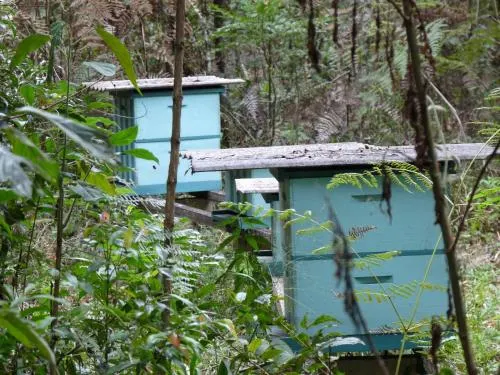 Chacara Aromas Da Serra - Image 1