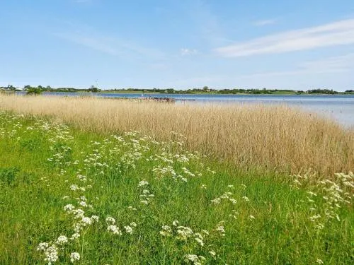 Holiday Home Bøgevænget - Image 1