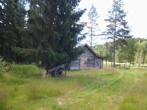 The Old Logging Camp - Image 1