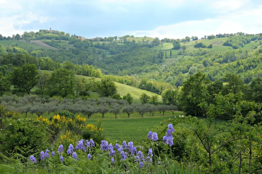 Cottage Gualdo Tadino - Image 1