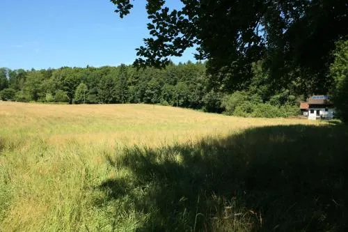 Hausteil in einer Waldlichtung im Stadtwald - Image 1