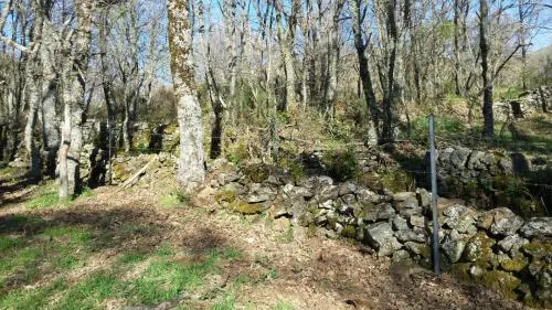 Casa Orgaz - Image 1