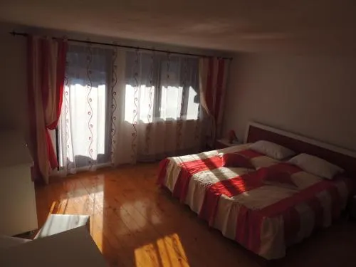 Pensiunea Steaua Ariesului - Image 1