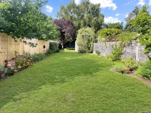 Lavender Row - Image 1